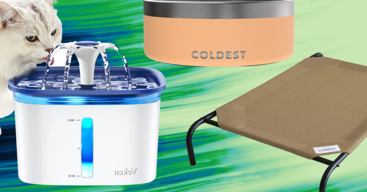 Affordable Walmart Buys To Keep Your Pet Cool In The Heat