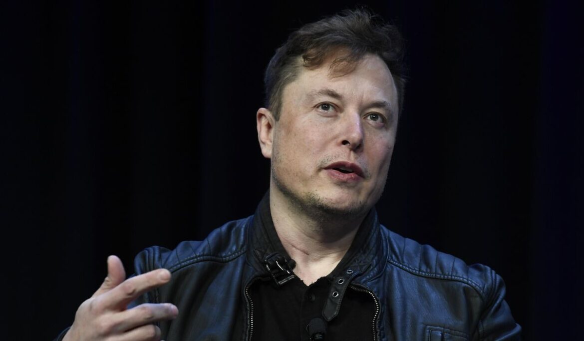Musk cheers Trump's Twitter return, slams Biden's Justice Department going after SpaceX