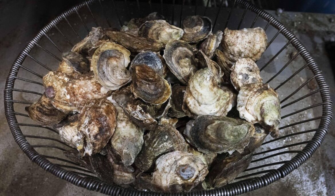 Two Connecticut deaths linked to bacteria found in raw shellfish