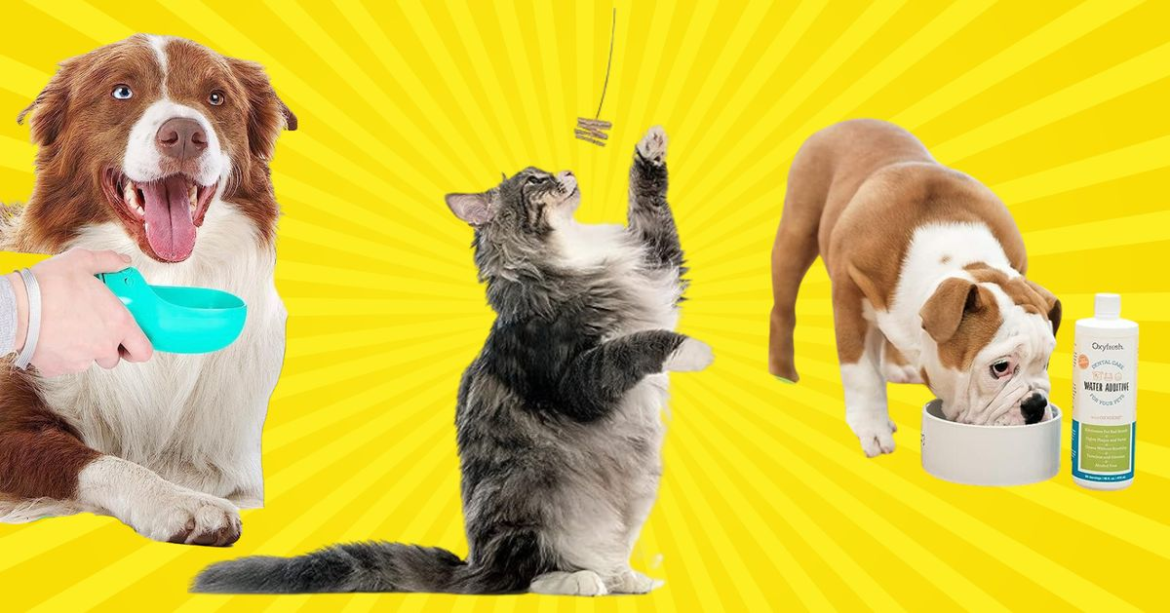 34 Must-Have Pet Products Reviewers Call 'Lifesavers'
