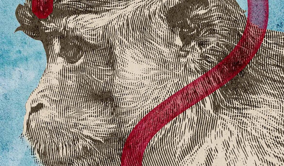 Activists are trying to slow down lifesaving medical research