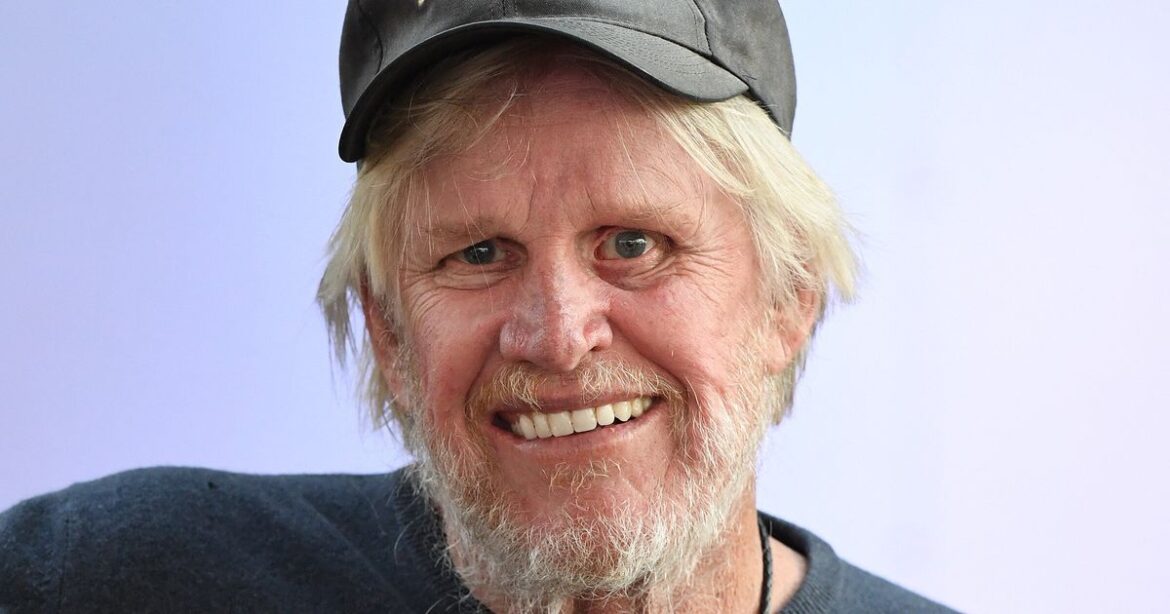 Actor Gary Busey Accused In Video Of Hitting Woman's Car And Fleeing