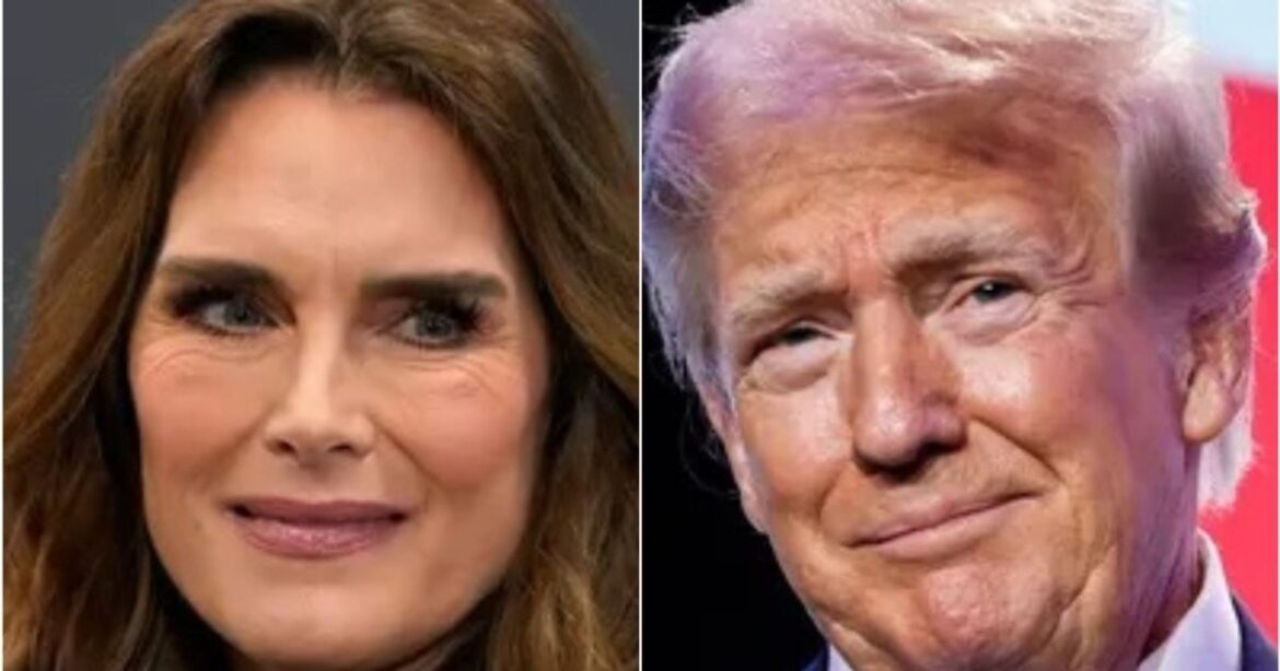 Brooke Shields Got A Very Trump Response After Turning Down Date