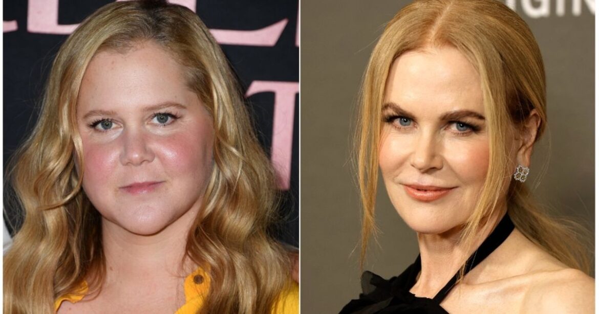 Fans Criticize Amy Schumer For Cyberbullying Nicole Kidman