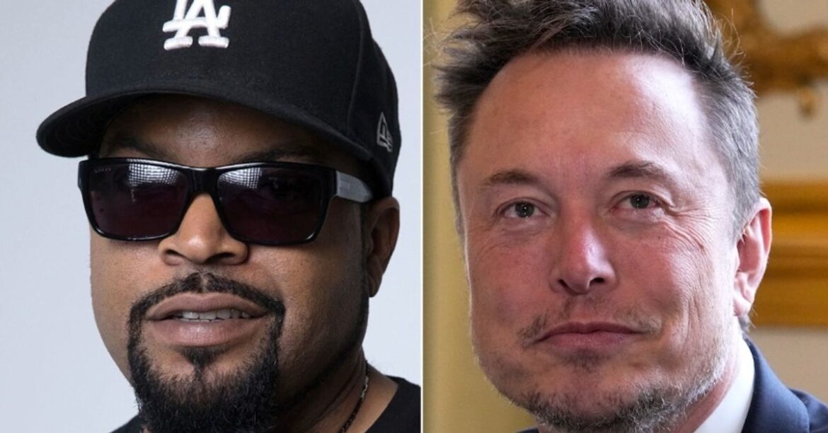 'Feel Stupid Yet?': Ice Cube Scorches Elon Musk With Meme