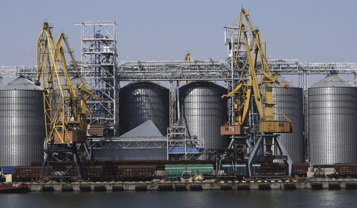 First two cargo ships arrive in Ukrainian port after Russia's exit from grain deal