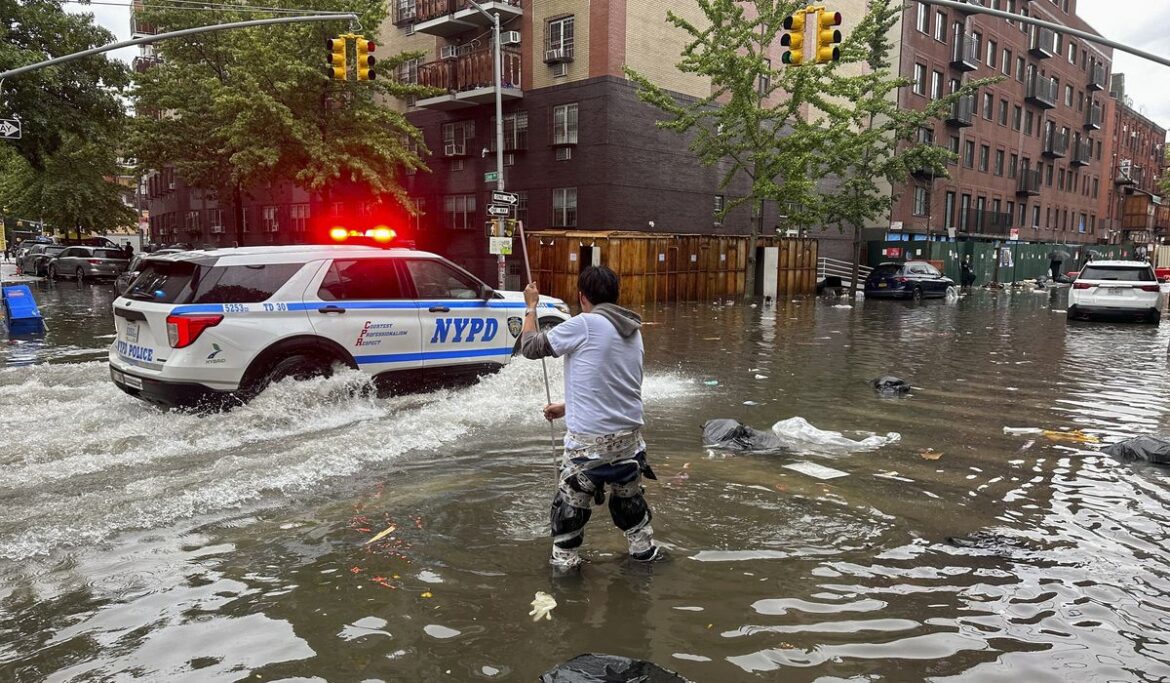 Flooding in New York City allows sea lion to escape enclosure within Central Park Zoo