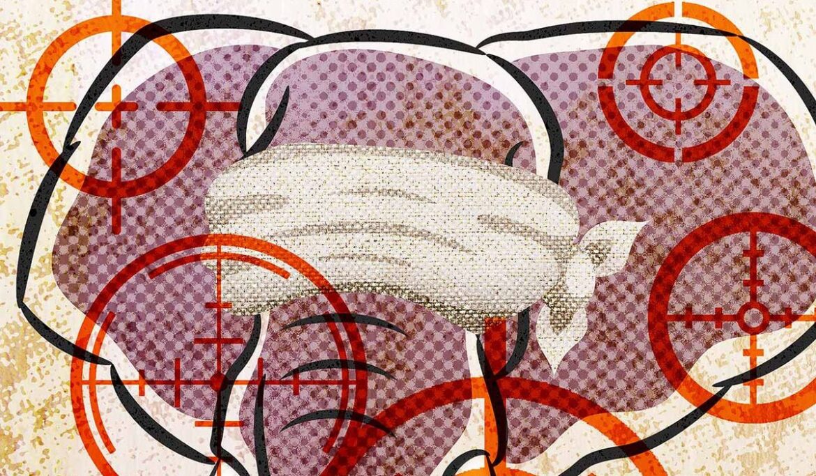 'Fringe' Republicans should direct their animus at Democrats, not Kevin McCarthy