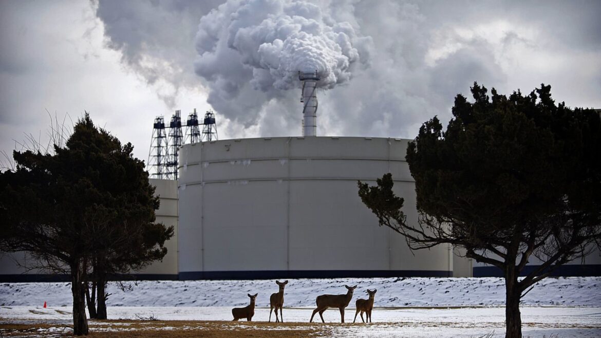 Investors can find income in these quality stocks, Berenberg says