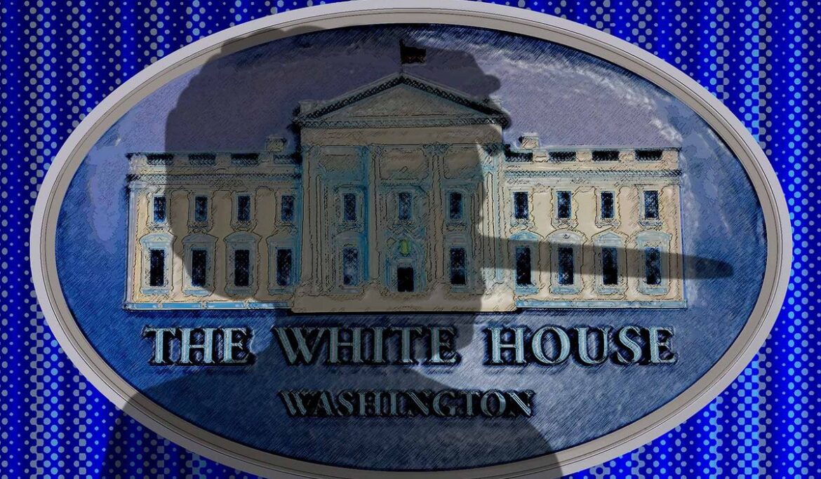 Liberal press ignores Biden's missteps, serves as campaign surrogate