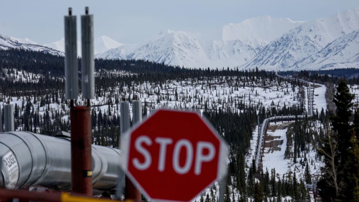 Oil group OPEC criticizes IEA over peak fossil fuel demand forecast