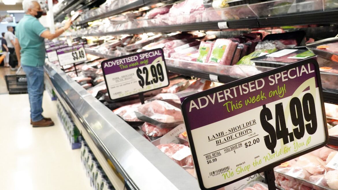 PPI inflation report August 2023: