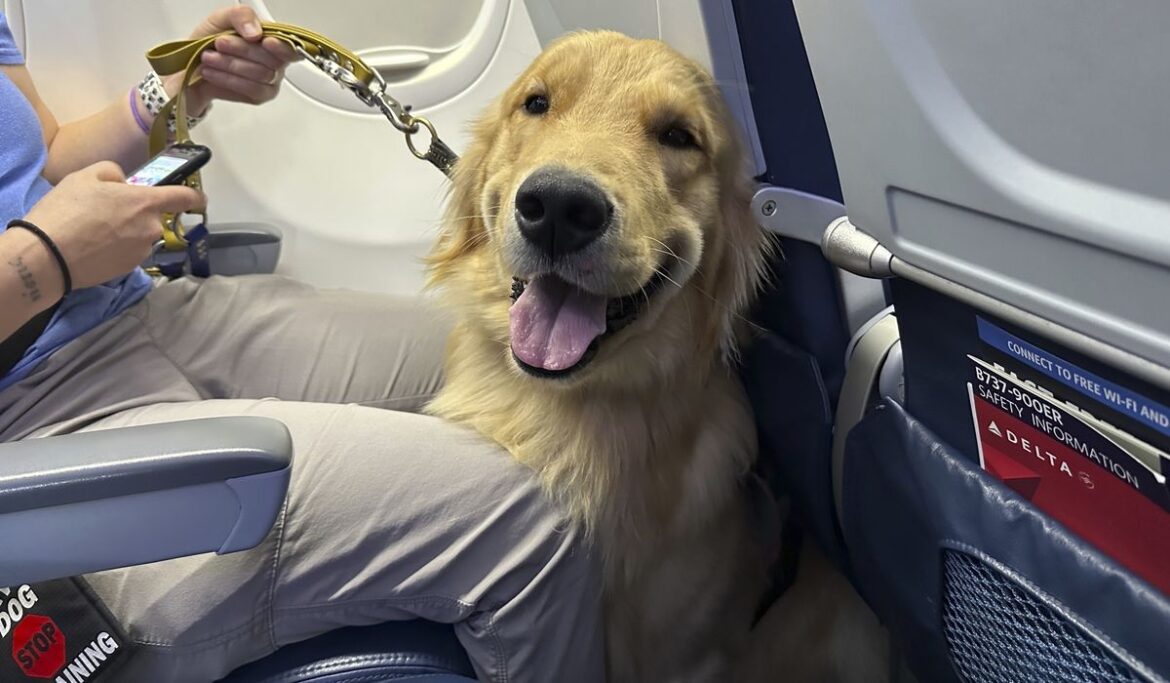 Puppies training to be future assistance dogs earn their wings at Detroit-area airport