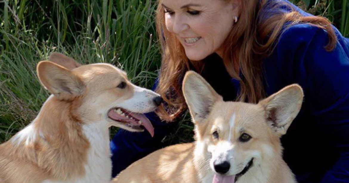 Sarah Ferguson Shares Update On Queen Elizabeth's 2 Corgis, 1 Year After Monarch's Death
