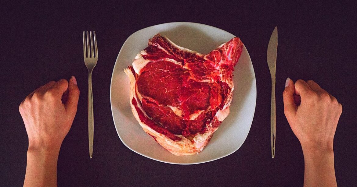 The Carnivore Diet: What It Is, And What Health Care Professionals Think Of It