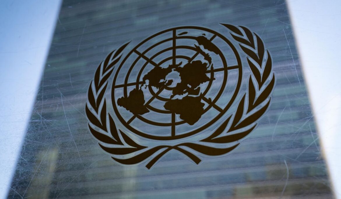 U.N. hypes health emergencies and need for more powers