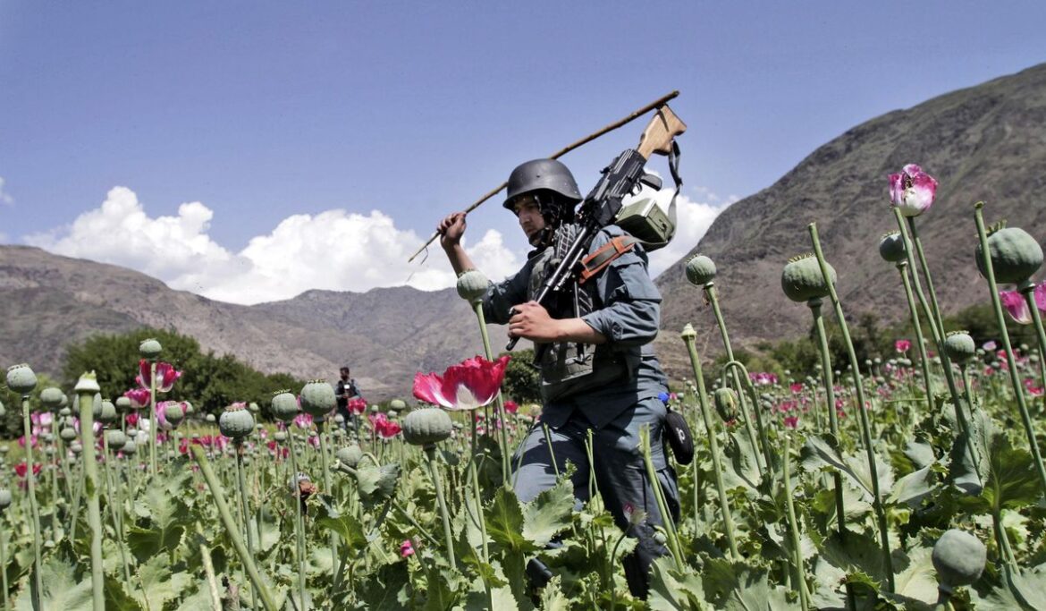 United Nations: Afghanistan fastest-growing maker of methamphetamine