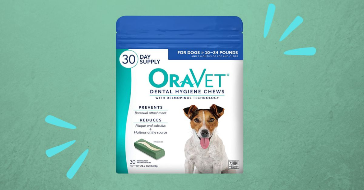 Vet-Recommended Dental Chews That Your Dog Will Like