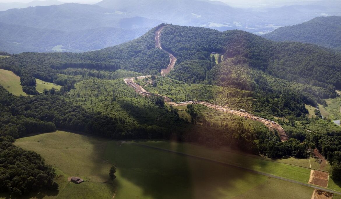 Portion of Blue Ridge Parkway closed after visitors try to feed and hold a young bear