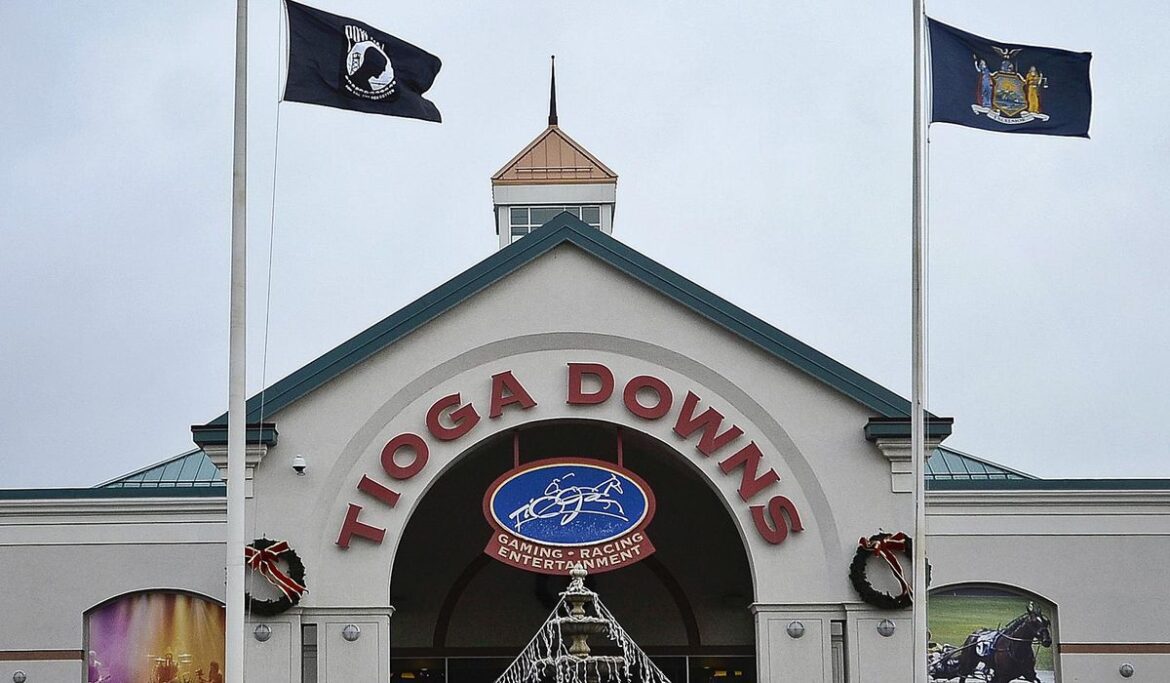 At least 24 horses killed and one person injured in what New York police say was arson