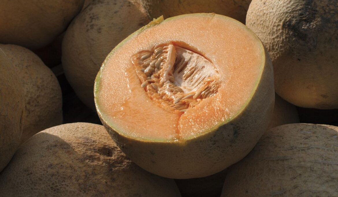 Don't eat pre-cut cantaloupe if the source is unknown, CDC says, as deadly salmonella outbreak grows