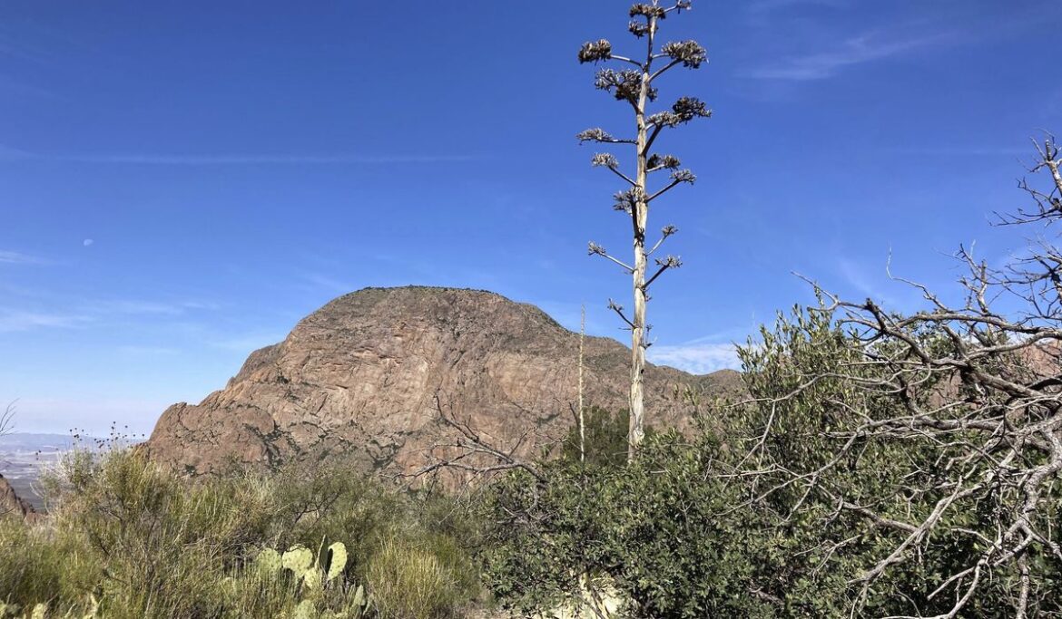 Hiker missing in Big Bend National Park found alive