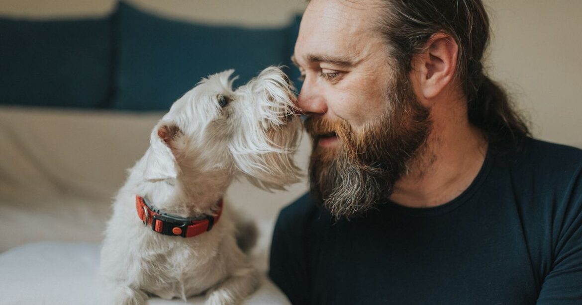 How Long Should You Wait After Losing A Pet To Get Another One?