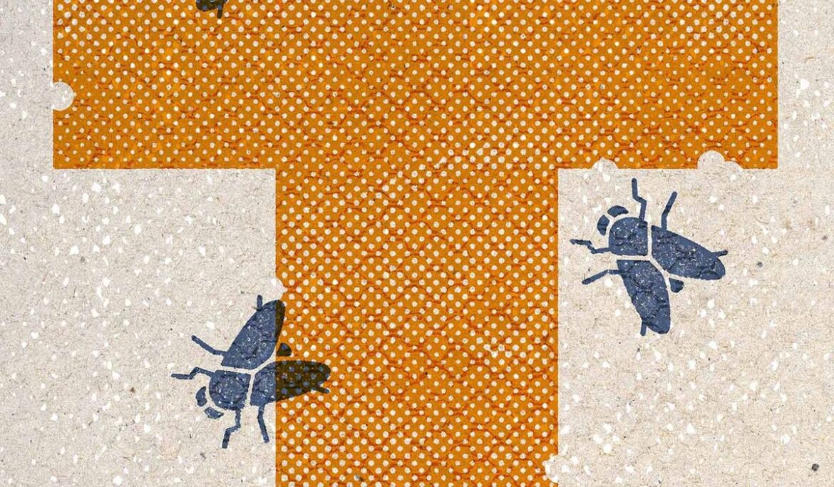 How do Trump's opponents stack up on foreign policy?