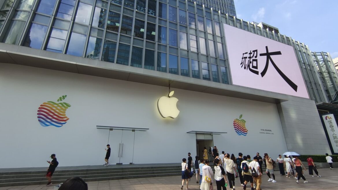 Investors don't necessarily need to own international stocks to be diversified