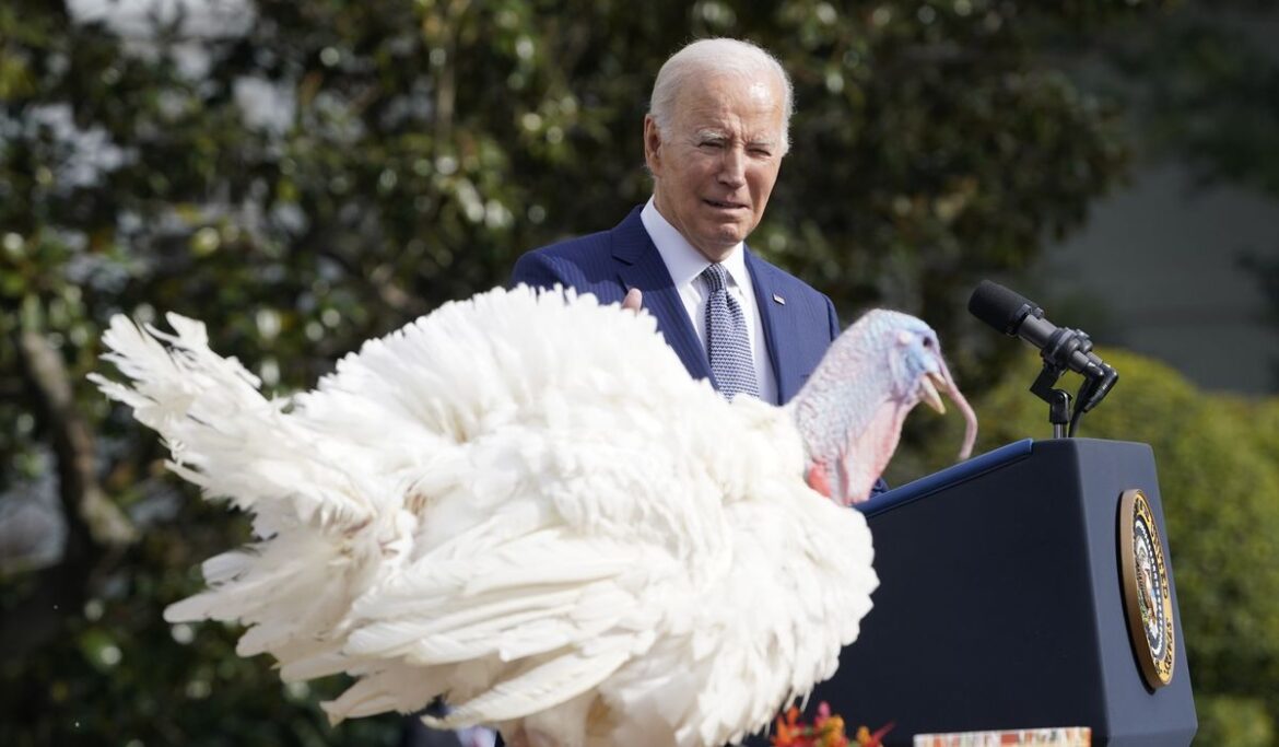 Joe Biden's Thanksgiving message: 'Stop the rancor'