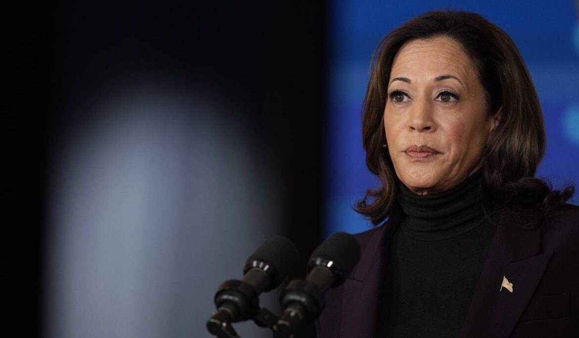 Kamala Harris tells world that the U.S. will shape international rules for AI