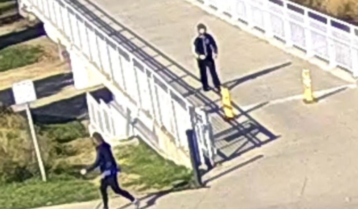 Nebraska police arrest Dominic M. Henton accused of sexually assaulting Martha McSally