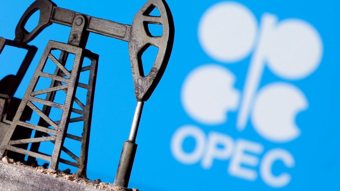 OPEC says oil industry unjustly vilified ahead of COP28