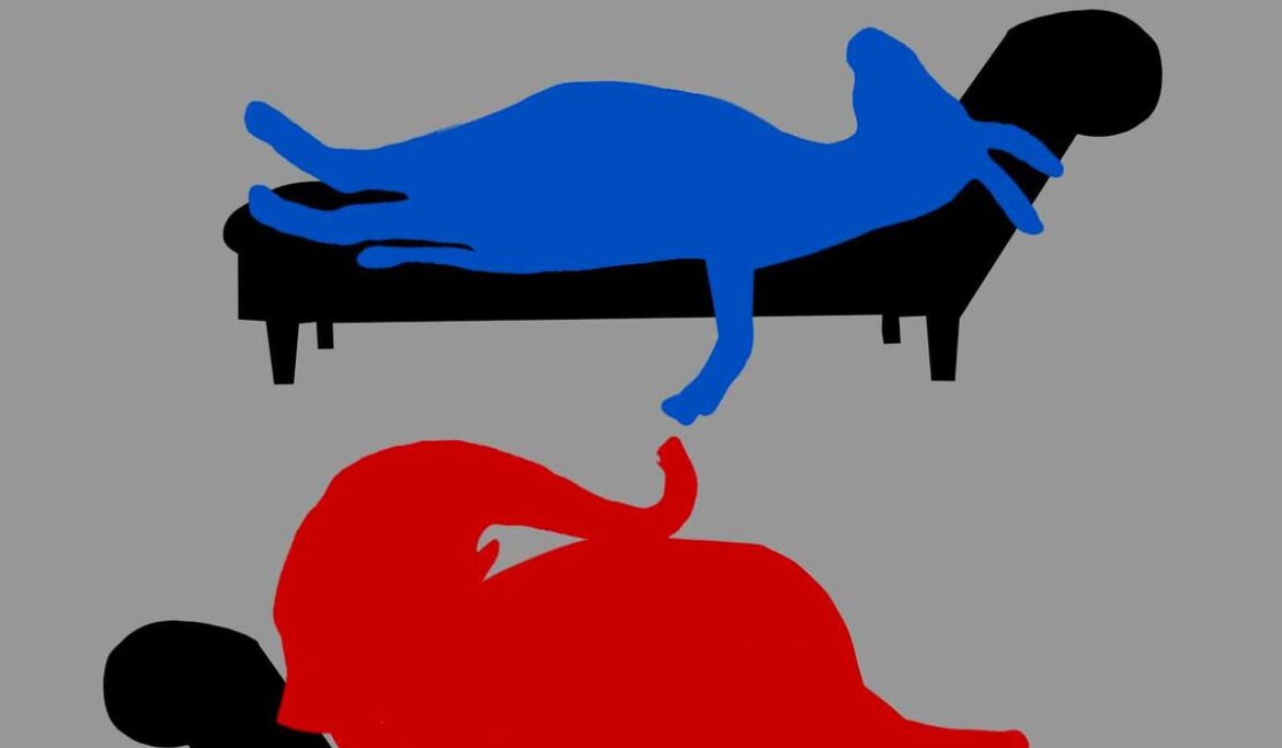 Pelosi's attack on No Labels reveals anxiety among leaders of both parties