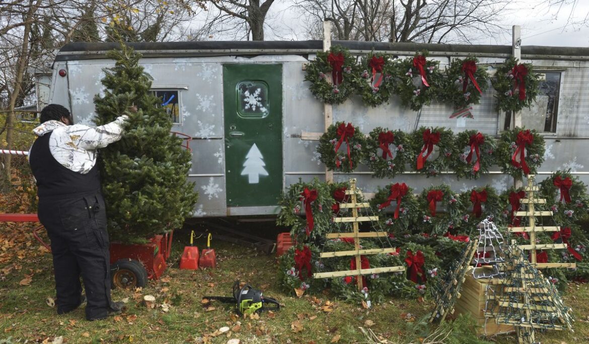 Rising labor costs drive up Christmas tree prices by 10%