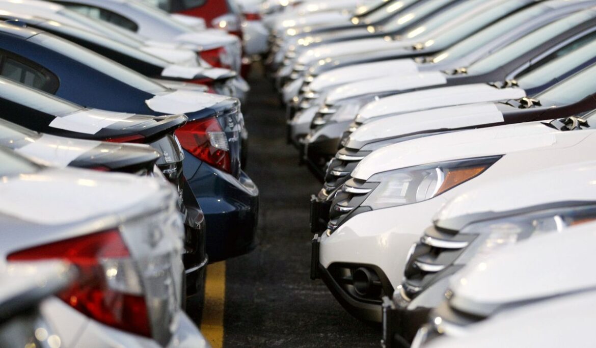 Ruff stuff: Stray dogs destroy cars at Houston dealership, causing hundreds of thousands in damages