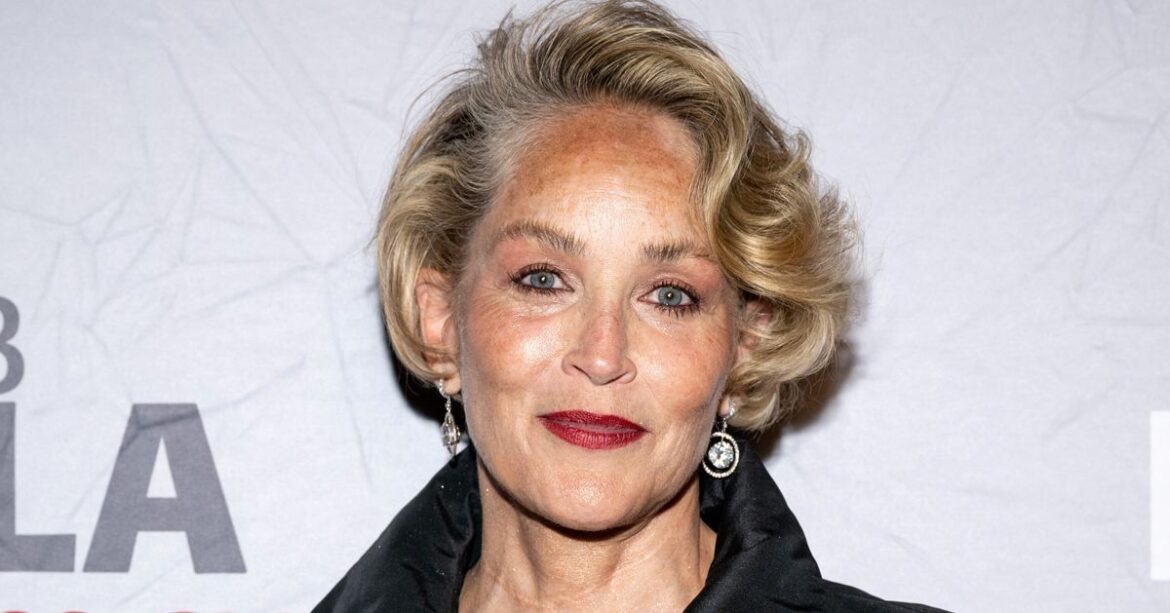 Sharon Stone Recalls Sony Exec Exposing Himself To Her