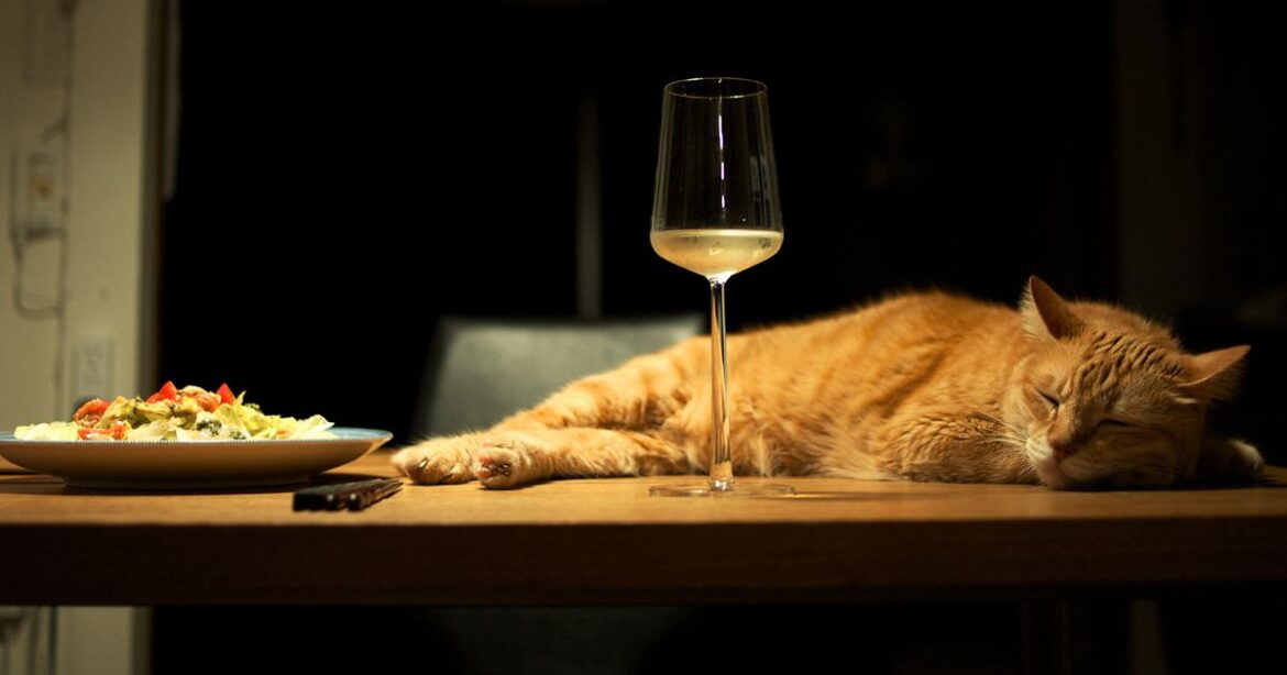 So THAT'S Why You Get Sleepy After Eating A Big Meal