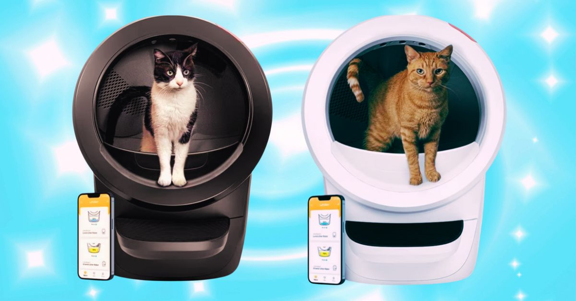 The Little Robot Litter Box Is Worth The Splurge