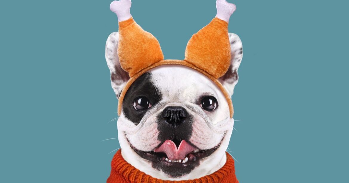 The Thanksgiving Foods That Are Dangerous To Pets