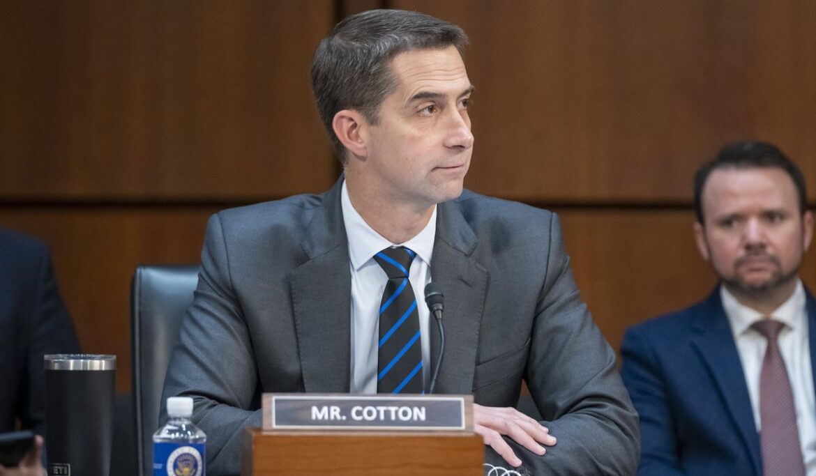 Tom Cotton calls for Justice Dept. probe of news photographers 'embedded with Hamas'