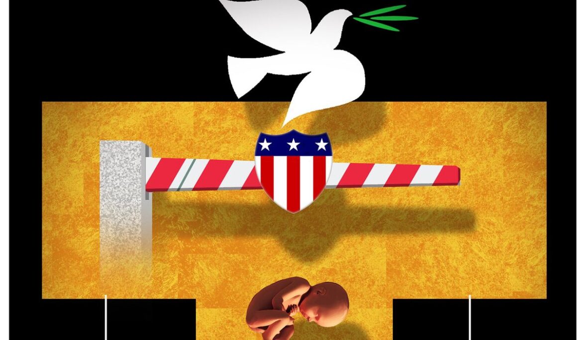 Trump's MAGA means commonsense policies, not extremism