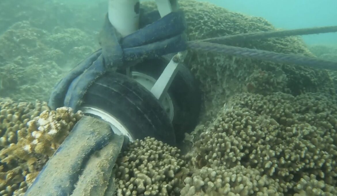 Underwater video shows U.S. Navy plane's tires touching a coral reef in Hawaii bay