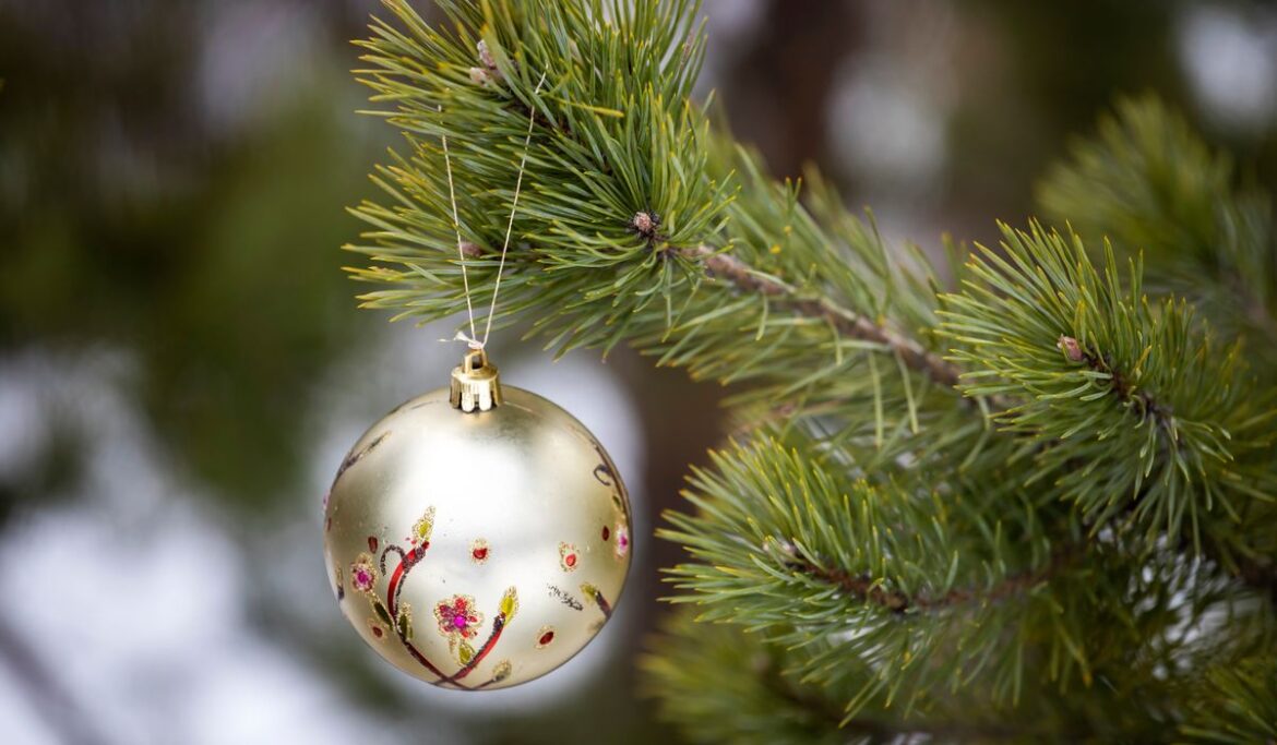 Wauwatosa, Wisconsin, drops Christmas decoration ban for municipal staff, is 'Grinch-burg' no more