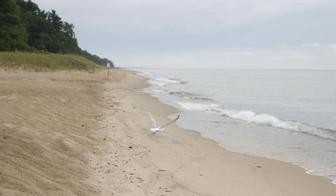 Woman found dead in car submerged in lake in California