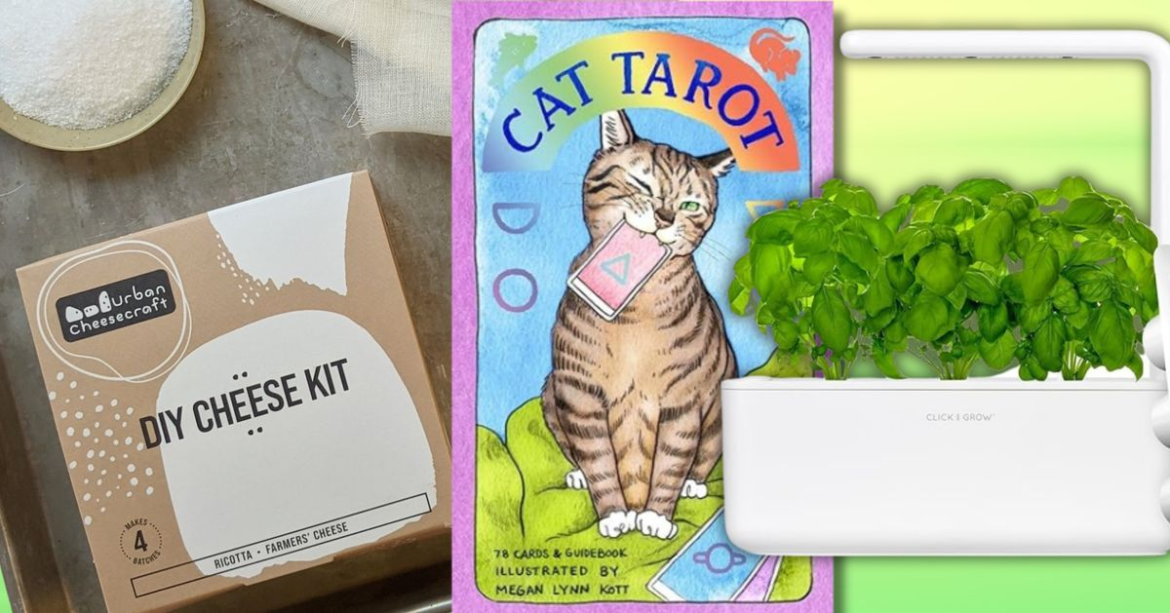 25 Products That'll Teach You New Things