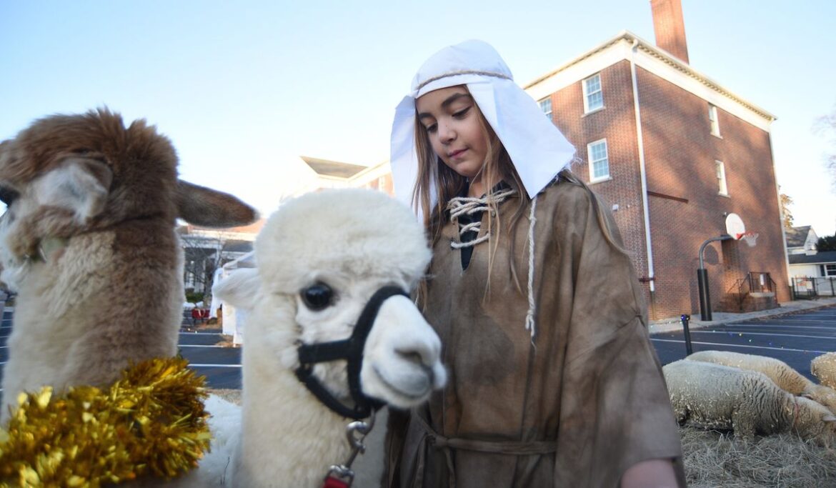 Christmas stress and how to keep Christ in Christmas