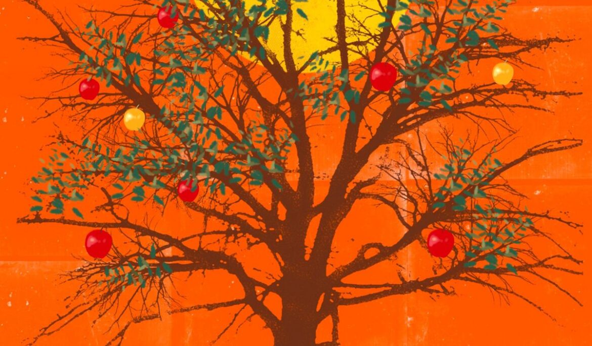 Educational freedom expansion will continue in 2024