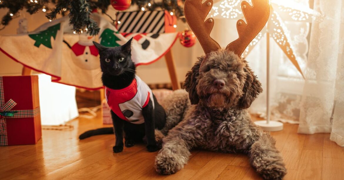 Holiday Items That Are Secretly Dangerous For Pets
