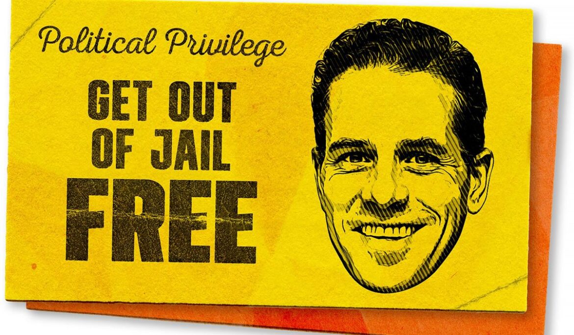 Hunter Biden's special treatment by Democrats